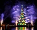 Floating Christmas Tree