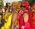 Rio de Janeiro Street Carnival