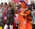 Rio de Janeiro Street Carnival