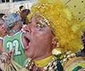 Rio de Janeiro Street Carnival