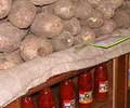 Photo Tour of Feira do Nordeste in Sao Cristovao