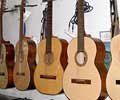 Photo Tour of Feira do Nordeste in Sao Cristovao