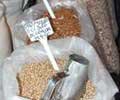 Photo Tour of Feira do Nordeste in Sao Cristovao