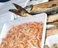 Photo Tour of Feira do Nordeste in Sao Cristovao